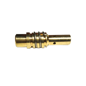 תושבת לידית בינזל